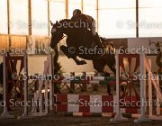 CAletto della Verdina TosTour2013- S5 3158 : Arezzo, Arezzo Equestrian Centre, Caletto della Verdina, Cavalli d'Italia, Toscana Tour 2013, foto di Stefano Secchi ©